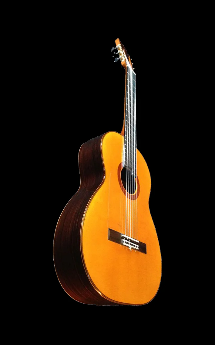 Flamenca Negra