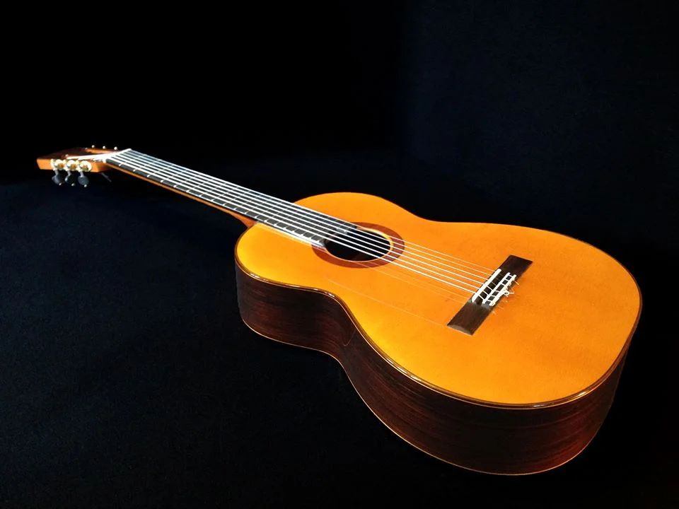 Flamenca Negra